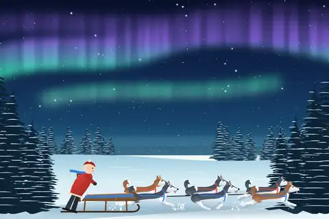 Schlittenhunde im Nordlicht
