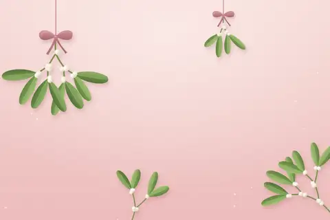 Mistelzweig auf Rosé