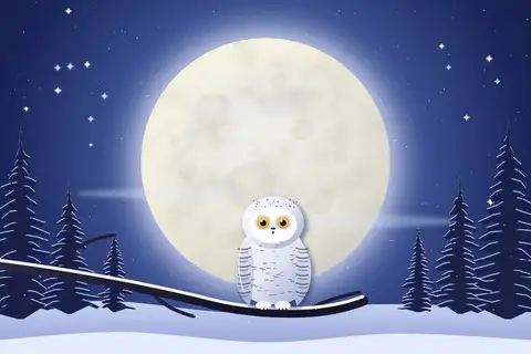 Eule vor Vollmond