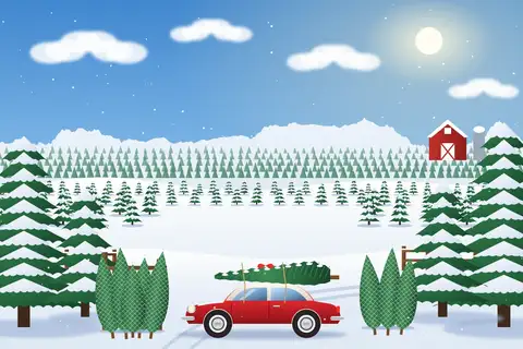 Weihnachtsbaumfarm